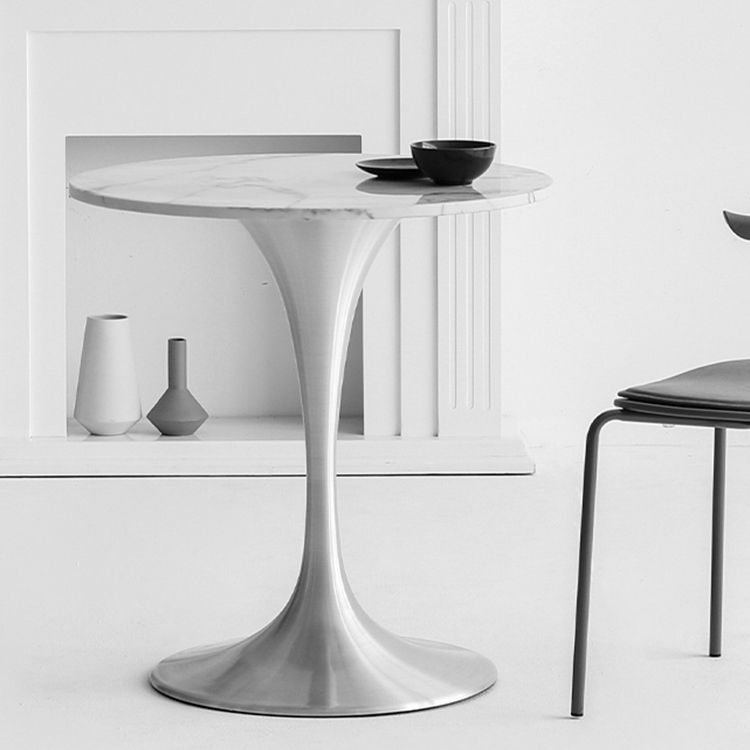 Metal Modern Round Dining Table Marble Top Indoor Table with Tulip Base Clearhalo ' dining_table' 'Dining Tables & Seating' 'Dining Tables' 'furn' 'furn_dining_table' 'Furniture' 'furniture_dining_table' 'Kitchen & Dining Furniture' 'kitchen&dining_furn' 'kitchen' 'kitchen_dining_table' 1200x1200_034ed714-3d0f-4a39-8087-dacc635608fa