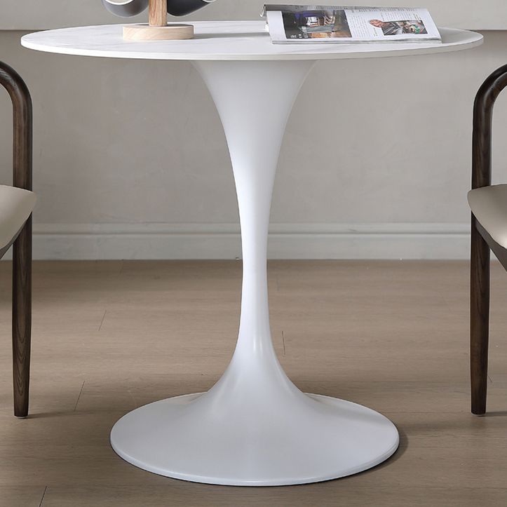Round Sintered Stone White Dining Table Simplicity Tulip Base Table for Dining Room Clearhalo ' dining_table' 'Dining Tables & Seating' 'Dining Tables' 'furn' 'furn_dining_table' 'Furniture' 'furniture_dining_table' 'Kitchen & Dining Furniture' 'kitchen&dining_furn' 'kitchen' 'kitchen_dining_table' 1200x1200_044a3f7c-c746-40e1-bc10-767df27ba639