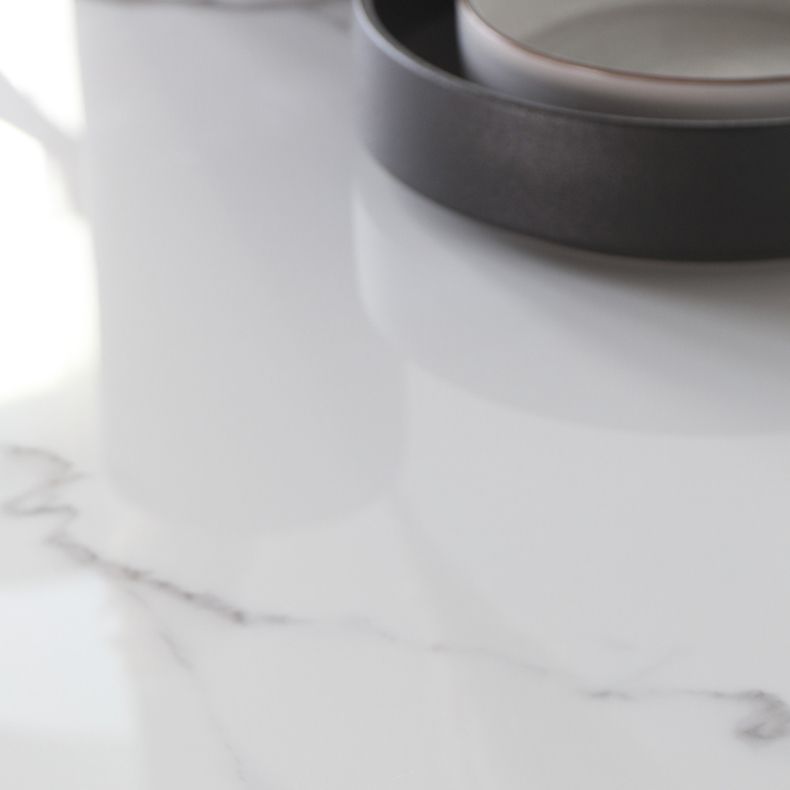 Nordic Glam Rectangle Sintered Stone Dining Table Set 1/2/4/6/7 Pieces Dining Set Clearhalo 'Dining Room Sets' 'Dining Tables & Seating' 'dining_room_set' 'furn' 'furn_dining_room_set' 'Furniture' 'furniture_dining_room_set' 'Kitchen & Dining Furniture' 1200x1200_044f7644-c74f-4508-b82a-0f62d4d1e9a8