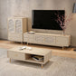 16" D Modern TV Stand Wooden Closed Storage Media Console with 2 Drawers and 1 Door Clearhalo 'furn' 'furn_tv_stands_entertainment_centers' 'Furniture' 'Living Room Furniture' 'TV Stands & Entertainment Centers' 'TV Stands & Media Storage Furniture' 'tv_stands_entertainment_centers' 1200x1200_0453fbed-41da-4a1c-a68b-d9eec4be0a7f