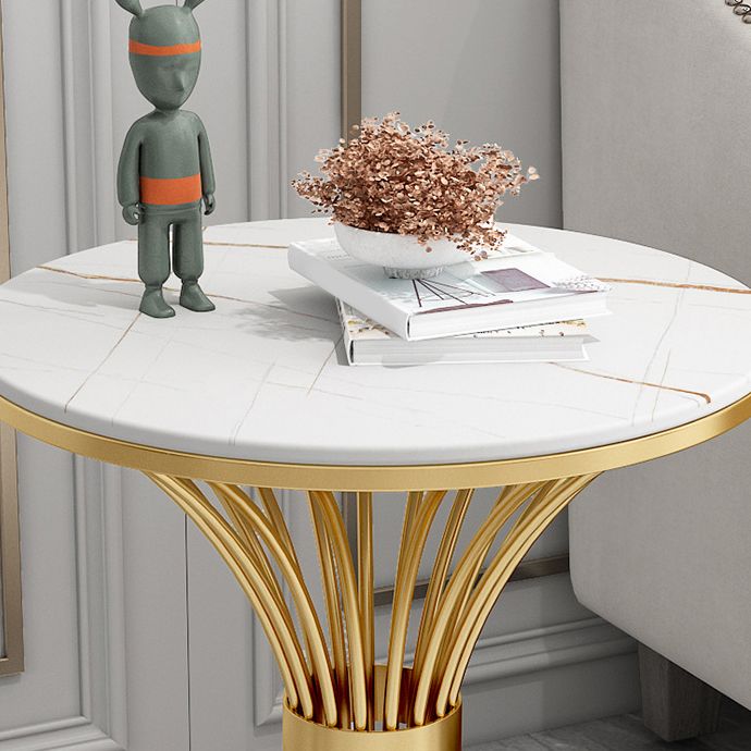 Metal Traditional Luxury Round Table 29.5"H Stone Top Dining Table with Pedestal Base Clearhalo 'Dining Tables & Seating' 'Dining Tables' 'dining_table' 'furn' 'furn_dining_table' 'Furniture' 'Kitchen & Dining Furniture' 1200x1200_0455d193-269b-41af-80ce-6f801053cf89