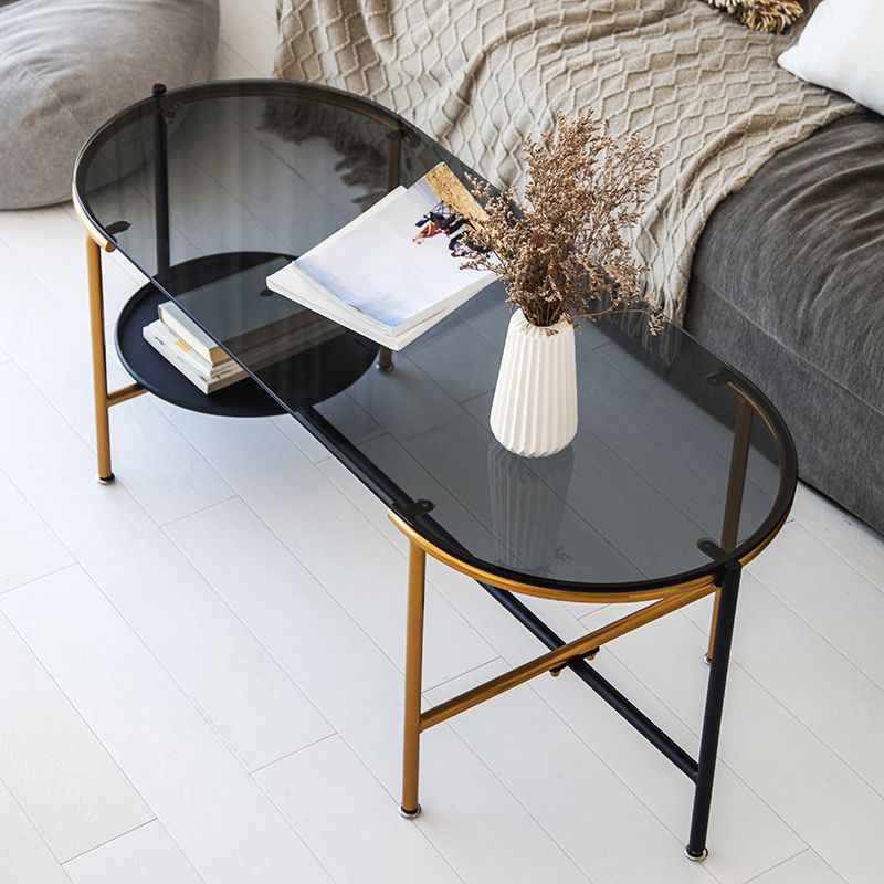 Modernism Elliptical Glass Top Coffee Cocktail Table with Shelf Clearhalo 'Coffee & Accent Tables' 'Coffee Tables' 'coffee_tables' 'furn' 'furn_coffee_tables' 'Furniture' 'Living Room Furniture' 1200x1200_04cc3671-a9a8-44e8-b0c3-642094b5379c