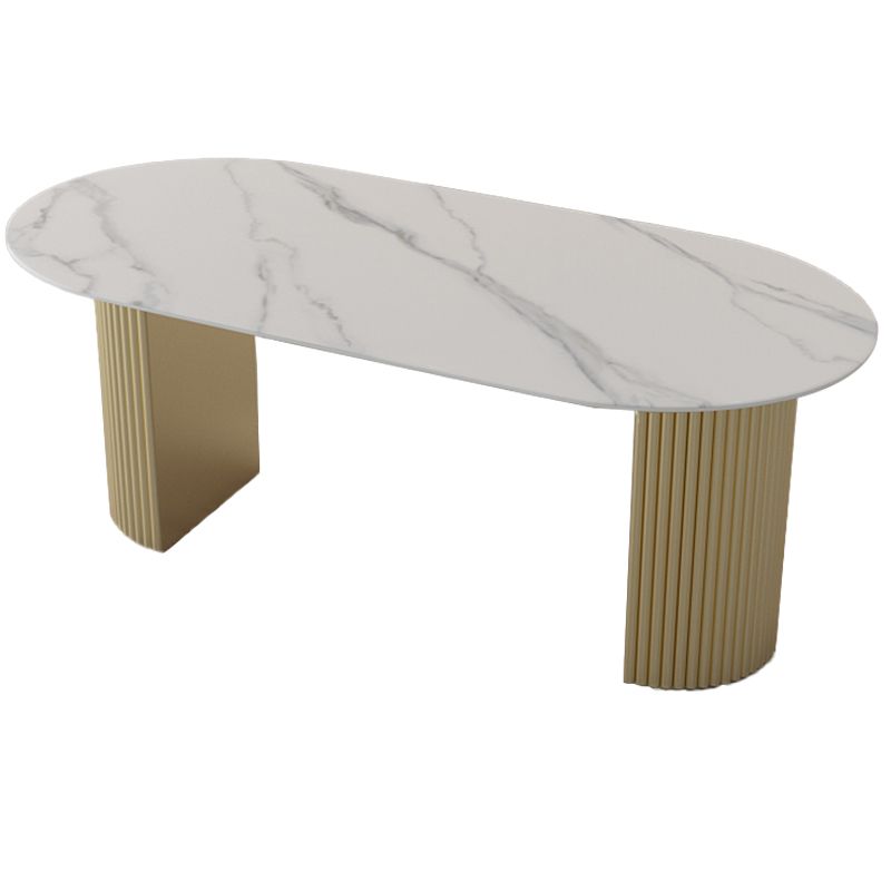 Metal Base Contemporary Oval Dining Table Double Pedestal Table for Dining Room Clearhalo 'Dining Tables & Seating' 'Dining Tables' 'dining_table' 'furn' 'furn_dining_table' 'Furniture' 'furniture_dining_table' 'Kitchen & Dining Furniture' 'kitchen' 'kitchen_dining_table' 1200x1200_04fb6e5e-173f-458d-9e8d-5d503e09ae3f