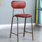 Modern Leather Bar Stool Backrest Counter Stool for Living Room Clearhalo 'Bar Furniture' 'Bar Stools' 'bar_stools' 'furn' 'furn_bar_stools' 'Furniture' 'Kitchen & Dining Furniture' 1200x1200_0569b893-a941-40d8-9b86-cd67b5db69e1