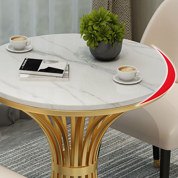 Simple Style Home Sintered Stone Dining Table Round Shape Table with Metallic Pedestal Base Clearhalo ' dining_table' 'Dining Tables & Seating' 'Dining Tables' 'furn' 'furn_dining_table' 'Furniture' 'furniture_dining_table' 'Kitchen & Dining Furniture' 'kitchen&dining_furn' 'kitchen' 'kitchen_dining_table' 1200x1200_0586a3c0-cab6-473d-adba-b7690d73e981