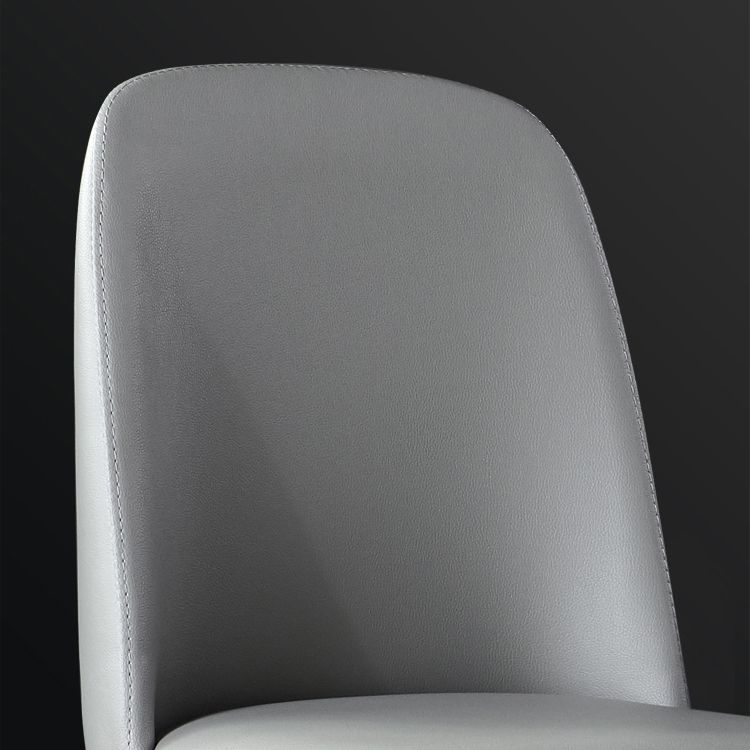 Leather Industrial Restaurant Side Chair Matte Finish Parsons Dining Side Chair Clearhalo ' kitchen&dining_furn' 'Dining Chairs' 'Dining Tables & Seating' 'dining_chair' 'furn' 'furn_dining_chair' 'Furniture' 'furniture_dining_chair' 'Kitchen & Dining Furniture' 'kitchen' 1200x1200_06a29d62-abf2-4f1e-9a1b-e8c316aa6d51