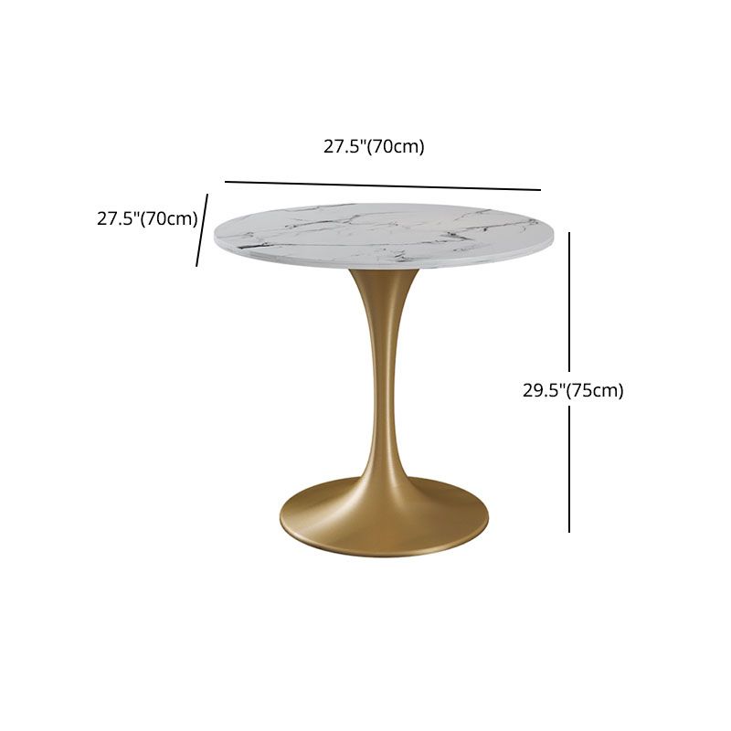 Modern 1/4/5 Pieces Dining Sintered Stone Dining Table Set with Metal Legs for Kitchen Clearhalo 'Dining Room Sets' 'Dining Tables & Seating' 'dining_room_set' 'furn' 'furn_dining_room_set' 'Furniture' 'furniture_dining_room_set' 'Kitchen & Dining Furniture' 'kitchen&dining_furn' 'kitchen' 1200x1200_06c9b598-674b-4146-8f9c-8e39becaf2e3