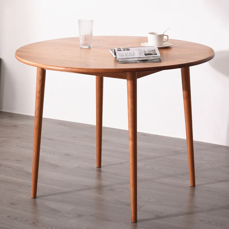 Solid Wood Double Pedestal Dining Table Simplicity Style Round Dinette Table Clearhalo ' dining_table' 'Dining Tables & Seating' 'Dining Tables' 'furn' 'furn_dining_table' 'Furniture' 'furniture_dining_table' 'Kitchen & Dining Furniture' 'kitchen&dining_furn' 'kitchen' 'kitchen_dining_table' 1200x1200_077bce8e-83ed-40ec-9664-0f25e0712409