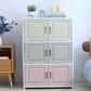 Contemporary Hinged Storage Cabinet Plastic Non-Hanging Armoire