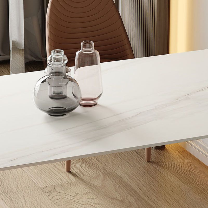 Stone Dining Room Collection Contemporary Double Pedestal Dining Table for Home Clearhalo 'Dining Tables & Seating' 'Dining Tables' 'dining_table' 'furn' 'furn_dining_table' 'Furniture' 'Kitchen & Dining Furniture' 1200x1200_07d118ab-823f-4e95-a20d-d5080769bc66