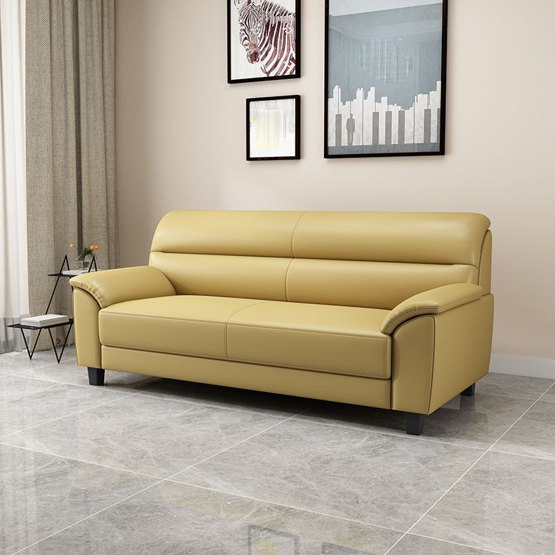 Contemporary Pillow Top Arm Sofa Single Cushion Seat for Living Room Clearhalo 'furn' 'furn_sofas' 'Furniture' 'furniture_sofas' 'Living Room Furniture' 'Sofa' 'sofas' 1200x1200_080881ab-77cf-4688-9d7d-750cef8e6196