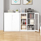 Contemporary File Cabinet Steel Frame Fire-Resistant File Cabinet
