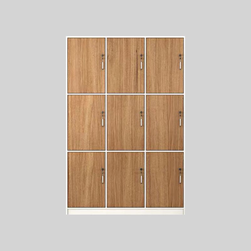 Natural Finish Indoor Cabinet Contemporary Storage Cabinet with Hinged Door Clearhalo 'Armoires & Wardrobes' 'armoires_wardrobes' 'Bedroom Furniture' 'furn' 'furn_armoires_wardrobes' 'Furniture' 1200x1200_086ccffd-0cbe-496b-96a7-878b7d588513