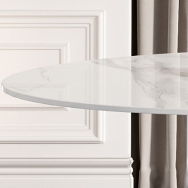 Round Traditional Luxury Dining Room Table White Sintered Stone Table with White Pedestal Base Clearhalo ' dining_table' 'Dining Tables & Seating' 'Dining Tables' 'furn' 'furn_dining_table' 'Furniture' 'furniture_dining_table' 'Kitchen & Dining Furniture' 'kitchen&dining_furn' 'kitchen' 'kitchen_dining_table' 1200x1200_08709d4f-8554-4422-a078-5b52924bddd7