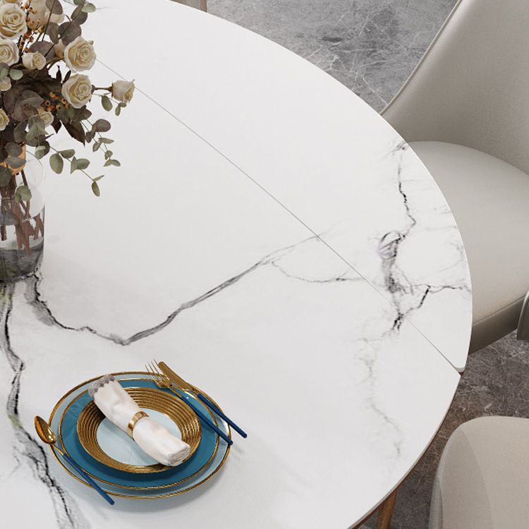 Modern Style Round Dining Table White Sintered Stone Drop-Leaf Dining Table for Home Use Clearhalo ' dining_table' 'Dining Tables & Seating' 'Dining Tables' 'furn' 'furn_dining_table' 'Furniture' 'furniture_dining_table' 'Kitchen & Dining Furniture' 'kitchen&dining_furn' 'kitchen' 'kitchen_dining_table' 1200x1200_08aac3f2-208f-4726-aeb9-76f4dd7479d4