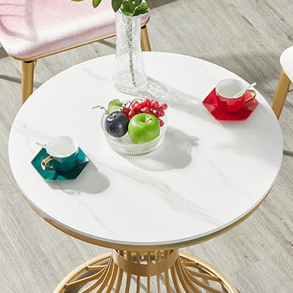 Round Luxury Dining Table White Fixed Table with Sintered Stone Clearhalo 'Dining Tables & Seating' 'Dining Tables' 'dining_table' 'furn' 'furn_dining_table' 'Furniture' 'furniture_dining_table' 'Kitchen & Dining Furniture' 'kitchen' 'kitchen_dining_table' 1200x1200_097e792a-de1e-4b5e-b879-a3b65565b5ff