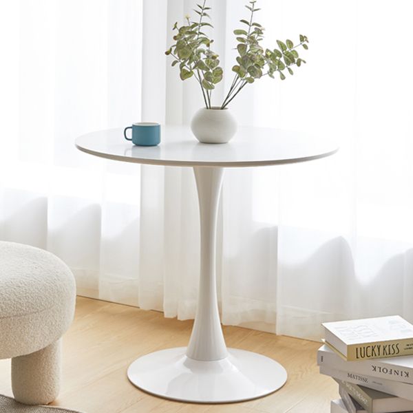 Simple Style Home Solid Wood Dining Table Round Shape Table with Tulip Base Clearhalo ' dining_table' 'Dining Tables & Seating' 'Dining Tables' 'furn' 'furn_dining_table' 'Furniture' 'furniture_dining_table' 'Kitchen & Dining Furniture' 'kitchen&dining_furn' 'kitchen' 'kitchen_dining_table' 1200x1200_09b06915-d78e-487e-8a9a-dbac03c2acf1