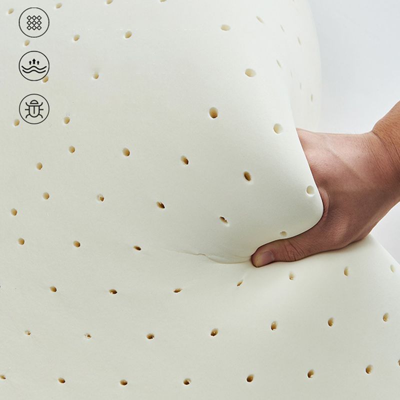 Genuine Leather Sloped Arm Sofa Contemporary Standard Sofa with Pillows Clearhalo 'furn' 'furn_sofas' 'Furniture' 'Living Room Furniture' 'Sofa' 'sofas' 1200x1200_0a411929-e487-4915-875b-930478799f78