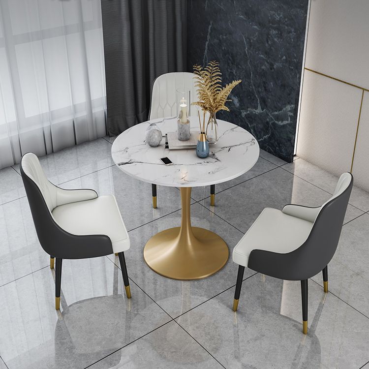 Round Sintered Stone Dining Table Traditional Luxury Dining Table with Tulip Base Clearhalo 'Dining Tables & Seating' 'Dining Tables' 'dining_table' 'furn' 'furn_dining_table' 'Furniture' 'furniture_dining_table' 'Kitchen & Dining Furniture' 'kitchen' 'kitchen_dining_table' 1200x1200_0a947c2c-6842-4f3a-a52d-a34eb2cf58fd