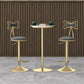 Glam Liftable Backrest Counter Stool Iron Household Bar Stool with Cushion Clearhalo 'Bar Furniture' 'Bar Stools' 'bar_stools' 'furn' 'furn_bar_stools' 'furniture_bar_stools' 'Kitchen & Dining Furniture' 'kitchen&dining_furn' 'kitchen' 'kitchen_furn' Furniture' 1200x1200_0a97043a-210c-4115-81b4-71961ef1d588