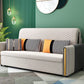 Light Gray Sleeper Sofa Modern Style Sofa Bed with Upholstered Clearhalo 'furn' 'furn_futons' 'Furniture' 'Futons & Daybeds' 'Futons' 'Living Room Furniture' 1200x1200_0aa33d6c-d76a-4dd8-92a0-43543d82de85