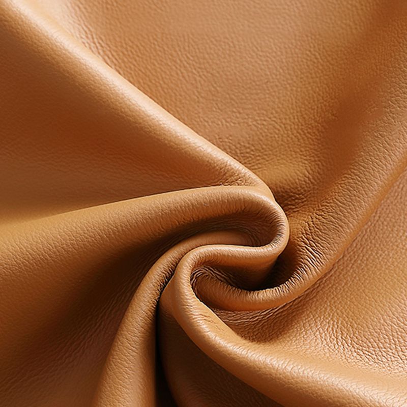 Glam Chaise Lounge Chair Solid Color Chaise Lounge with Pillow Clearhalo 'Chairs & Seating' 'Chaise Lounge' 'chaise_lounge' 'furn' 'furn_chaise_lounge' 'Furniture' 'Living Room Furniture' 1200x1200_0ad780a2-2dc8-4ffe-9839-ac238b1fc8cf