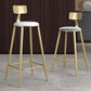 Glam Armless Backrest Counter Stool Iron Bar Stool with Velvet Cushion Clearhalo 'Bar Furniture' 'Bar Stools' 'bar_stools' 'furn' 'furn_bar_stools' 'furniture_bar_stools' 'Kitchen & Dining Furniture' 'kitchen&dining_furn' 'kitchen' 'kitchen_furn' Furniture' 1200x1200_0b49bb94-d3f3-4850-a2c3-2db7f11c9365