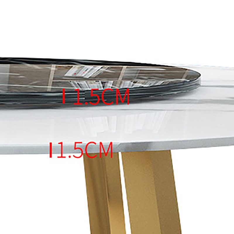 Modern Sintered Stone Dining Table Round Dinner Room Table for Dining Room Clearhalo 'Dining Tables & Seating' 'Dining Tables' 'dining_table' 'furn' 'furn_dining_table' 'Furniture' 'furniture_dining_table' 'Kitchen & Dining Furniture' 'kitchen' 'kitchen_dining_table' 1200x1200_0b4a27f6-54ff-4f0e-89a5-1bbf23db5712