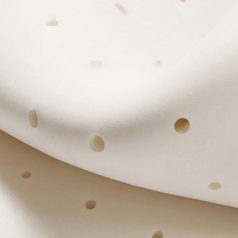 Contemporary Brown Cushions Standard Pillow Top Arm Stain Resistant Sofa Clearhalo 'furn' 'furn_sofas' 'Furniture' 'Living Room Furniture' 'Sofa' 'sofas' 1200x1200_0bc7f5bb-4520-46a6-9a9a-c0183eb5a048