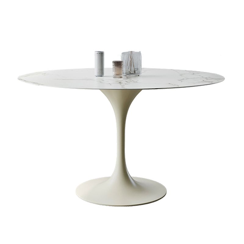 Round Tulip Modern Dining Table White Tone Fixed Table of Sintered Stone Clearhalo ' dining_table' 'Dining Tables & Seating' 'Dining Tables' 'furn' 'furn_dining_table' 'Furniture' 'furniture_dining_table' 'Kitchen & Dining Furniture' 'kitchen&dining_furn' 'kitchen' 'kitchen_dining_table' 1200x1200_0be5ad60-9e4f-4314-885d-0ad6be4f1783