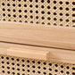 Wicker Rattan Accent Cabinet Bar Pulls Handle Design Storage Cabinet Clearhalo 'Cabinets & Chests' 'cabinets_chests' 'furn' 'furn_cabinets_chests' 'Furniture' 'Living Room Furniture' 1200x1200_0c0b553f-b6cc-4f39-b682-069ecd66fe8f