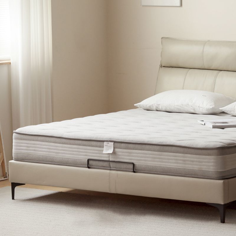 Leather Standard Bed Contemporary Wood Frame Bed with Upholstered Headboard Clearhalo 'Bedroom Furniture' 'Beds' 'furn' 'furn_beds' 'Furniture' 1200x1200_0c4d4af3-f4ce-49f7-adf5-d2cce7858e0c