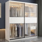 Contemporary Style Wardrobe Glass 2-Door Wardrobe Closet with Shelves