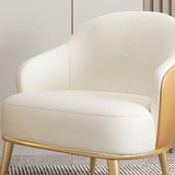 Contemporary Barrel Accent Chair Modern Arms Included Accent Armchair Clearhalo 'Accent Chairs' 'accent_chairs' 'Chairs & Seating' 'furn' 'furn_accent_chairs' 'Furniture' 'Living Room Furniture' 1200x1200_0c98b71a-e2a8-42de-8eed-b4f408906c35