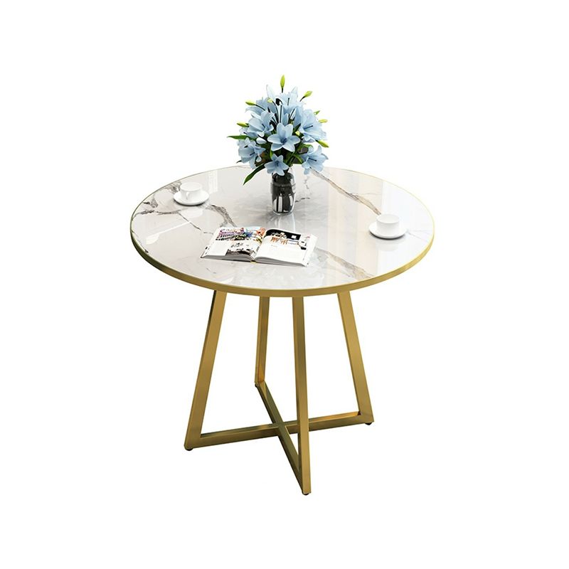 Metal Traditional Luxury Round Indoor Table Manufactured Wood Table with Sled Base Clearhalo ' dining_table' 'Dining Tables & Seating' 'Dining Tables' 'furn' 'furn_dining_table' 'Furniture' 'furniture_dining_table' 'Kitchen & Dining Furniture' 'kitchen&dining_furn' 'kitchen' 'kitchen_dining_table' 1200x1200_0cad68b6-dcb3-49e7-887a-cc48c2f326b2