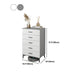 White Wooden Accent Cabinet with Door Modern Chest with 5 Drawers