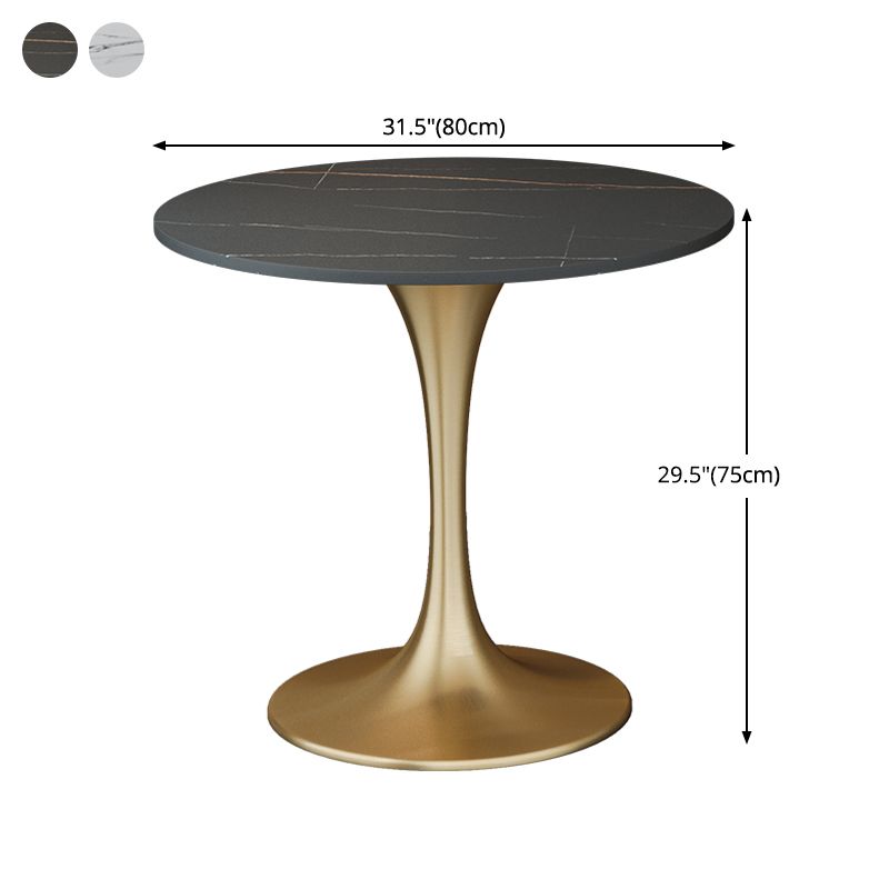 Round Sintered Stone Dining Table Traditional Luxury Dining Table with Tulip Base Clearhalo 'Dining Tables & Seating' 'Dining Tables' 'dining_table' 'furn' 'furn_dining_table' 'Furniture' 'furniture_dining_table' 'Kitchen & Dining Furniture' 'kitchen' 'kitchen_dining_table' 1200x1200_0d58f2ca-f78d-447a-b85c-29ed11e54884
