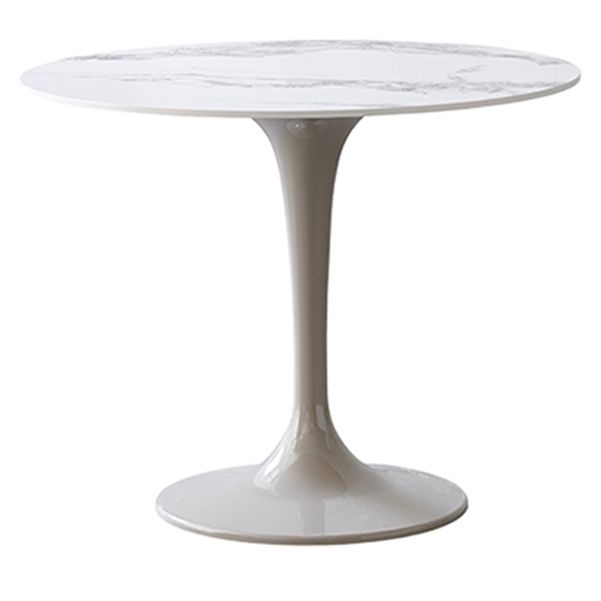 Modern 1/2/3/4/5 Pieces Dining Set Round Sintered Stone Dining Table Set Clearhalo 'Dining Room Sets' 'Dining Tables & Seating' 'dining_room_set' 'furn' 'furn_dining_room_set' 'Furniture' 'furniture_dining_room_set' 'Kitchen & Dining Furniture' 1200x1200_0d7b6685-61d3-4204-980d-a74c31800488