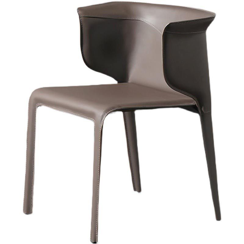 Metal Contemporary Indoor Chair with Leather Legs Matte Finish Side Chair for Dining Room Clearhalo 'Dining Chairs' 'Dining Tables & Seating' 'dining_chair' 'furn' 'furn_dining_chair' 'Furniture' 'furniture_dining_chair' 'Kitchen & Dining Furniture' 1200x1200_0da60455-41b7-499f-bd02-fc850f6457d4
