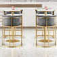 Glam Armless Backrest Counter Stool Iron Jewelry Store Bar Stool with Velvet Cushion Clearhalo 'Bar Furniture' 'Bar Stools' 'bar_stools' 'furn' 'furn_bar_stools' 'furniture_bar_stools' 'Kitchen & Dining Furniture' 'kitchen&dining_furn' 'kitchen' 'kitchen_furn' Furniture' 1200x1200_0dac7d7e-220d-458b-8bff-5b208ed7f523