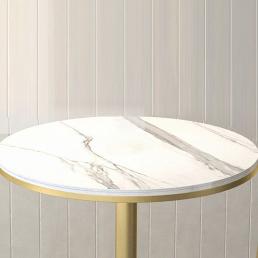 Stone Bar Dining Table Modern Round Bar Table with Pedestal Base for Dining Room Clearhalo 'Bar Furniture' 'Bar Tables' 'bar_tables' 'furn' 'furn_bar_tables' 'Furniture' 'furniture_bar_tables' 'Kitchen & Dining Furniture' 1200x1200_0dd0ef03-32dd-46cc-9e19-32f00186ee0c