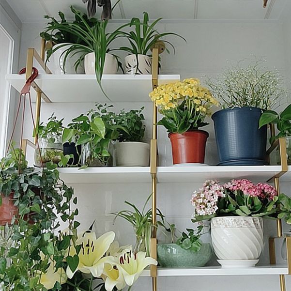 Wooden Floating Storage Bookshelf Modern Wall Mounted Bookcase