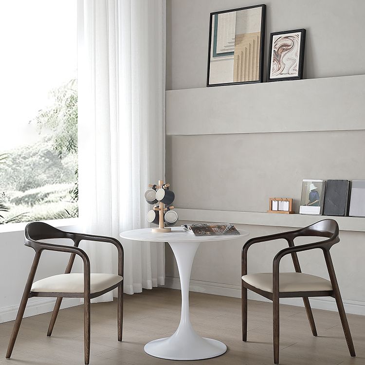 Round Sintered Stone White Dining Table Simplicity Tulip Base Table for Dining Room Clearhalo ' dining_table' 'Dining Tables & Seating' 'Dining Tables' 'furn' 'furn_dining_table' 'Furniture' 'furniture_dining_table' 'Kitchen & Dining Furniture' 'kitchen&dining_furn' 'kitchen' 'kitchen_dining_table' 1200x1200_0eda1a0f-5452-497a-a1ac-15afc898e762