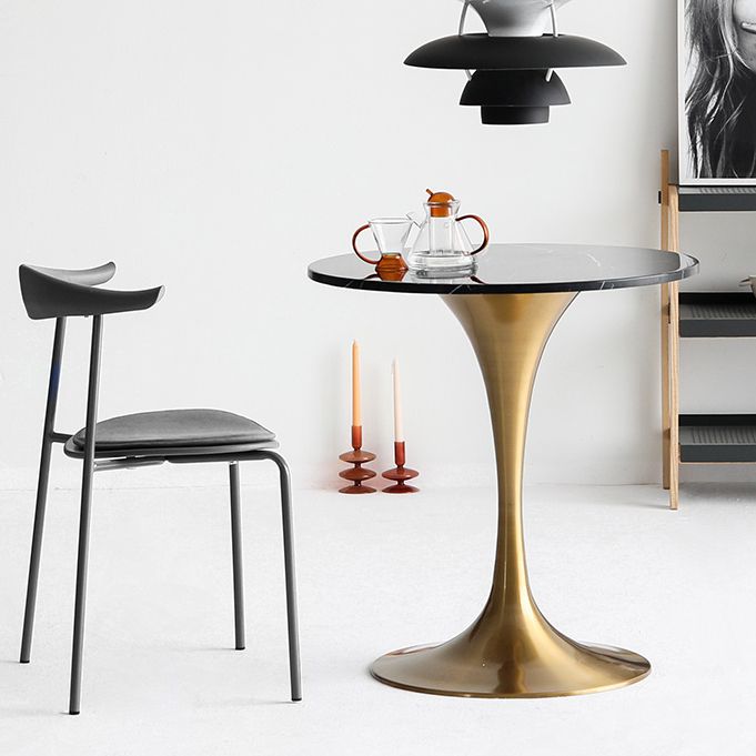 Metal Modern Round Dining Table Marble Top Indoor Table with Tulip Base Clearhalo ' dining_table' 'Dining Tables & Seating' 'Dining Tables' 'furn' 'furn_dining_table' 'Furniture' 'furniture_dining_table' 'Kitchen & Dining Furniture' 'kitchen&dining_furn' 'kitchen' 'kitchen_dining_table' 1200x1200_0efd89c1-1959-428d-82ba-ea29016e2799
