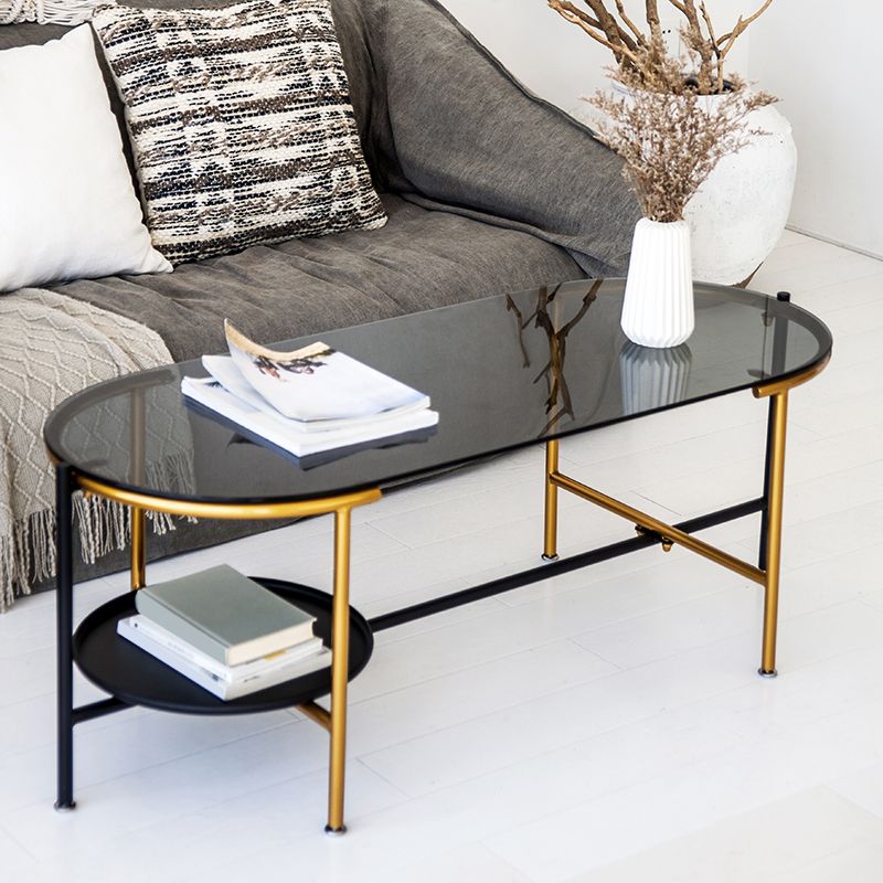 Modernism Elliptical Glass Top Coffee Cocktail Table with Shelf Clearhalo 'Coffee & Accent Tables' 'Coffee Tables' 'coffee_tables' 'furn' 'furn_coffee_tables' 'Furniture' 'Living Room Furniture' 1200x1200_0f990cf9-4413-4f35-b3ee-5ab6ce60034c