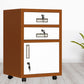 Contemporary File Cabinets Steel Frame Filing Cabinets with Key Lock for Office Clearhalo 'Filing Cabinets' 'filling_cabinets' 'furn' 'furn_filling_cabinets' 'Furniture' 'Office Furniture' 1200x1200_0fe60d2b-90eb-4df5-93ed-ad61f3e45b26