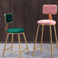 Glam Backrest Armless Counter Stool Iron Cafe Bar Stool with Suede Cushion Clearhalo 'Bar Furniture' 'Bar Stools' 'bar_stools' 'furn' 'furn_bar_stools' 'furniture_bar_stools' 'Kitchen & Dining Furniture' 'kitchen&dining_furn' 'kitchen' 'kitchen_furn' Furniture' 1200x1200_10064b03-caa0-43ba-a60c-35645d0598ee