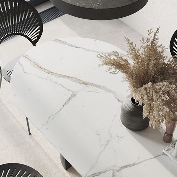 Contemporary White Oval Shape Dining Table Sintered Stone Standard Dining Table for Kitchen Clearhalo ' dining_table' 'Dining Tables & Seating' 'Dining Tables' 'furn' 'furn_dining_table' 'Furniture' 'furniture_dining_table' 'Kitchen & Dining Furniture' 'kitchen&dining_furn' 'kitchen' 'kitchen_dining_table' 1200x1200_1055a34d-5afc-471b-9f86-e16dce7a5da6