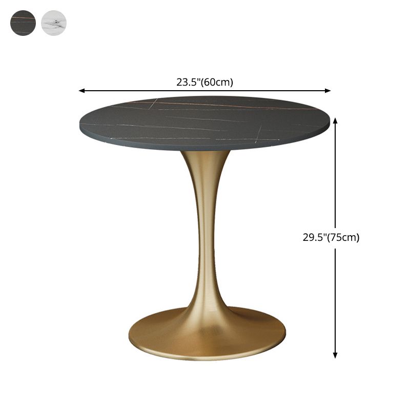 Contemporary 1/2/3/4/5 Pieces Dining Set Sintered Stone Dining Table for Kitchen Clearhalo 'Dining Room Sets' 'Dining Tables & Seating' 'dining_room_set' 'Furniture' 'furniture_dining_room_set' 'Kitchen & Dining Furniture' 'kitchen&dining_furn' 'kitchen' 1200x1200_10a94cbd-d8cd-4864-b83c-5bcf141fdc38
