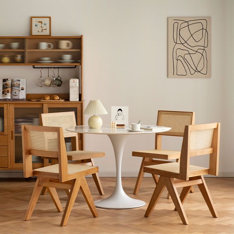 Modern Dining Room Dining Chairs Rubber Wood Dining Side Chairs Clearhalo 'Dining Chairs' 'Dining Tables & Seating' 'dining_chair' 'furn' 'furn_dining_chair' 'Furniture' 'furniture_dining_chair' 'Kitchen & Dining Furniture' 1200x1200_111b4ce6-4a9f-4f51-9e5b-331652f99f35